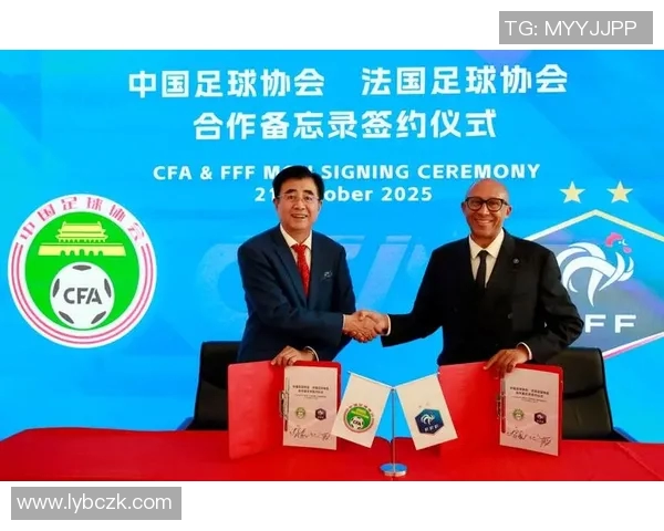 中国足球协会领导成员的职责与改革方向探讨